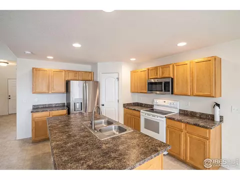 1004 Muntjac St, Severance, CO 80550 photo 6