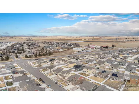 1004 Muntjac St, Severance, CO 80550 photo 34