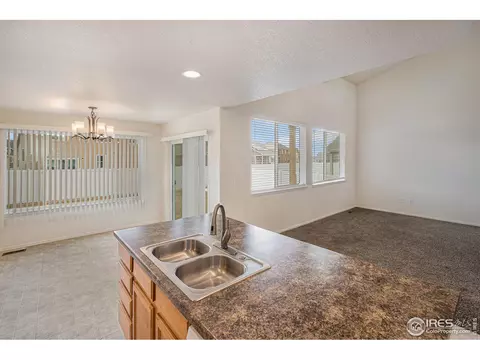 1004 Muntjac St, Severance, CO 80550 photo 9