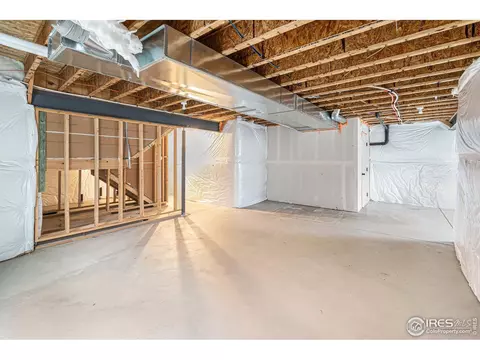 1004 Muntjac St, Severance, CO 80550 photo 28