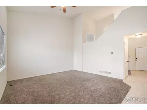 1004 Muntjac St, Severance, CO 80550 photo 3