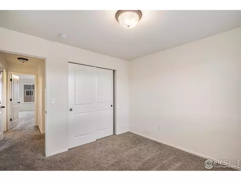 1004 Muntjac St, Severance, CO 80550 photo 15