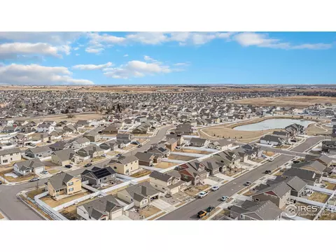 1004 Muntjac St, Severance, CO 80550 photo 32