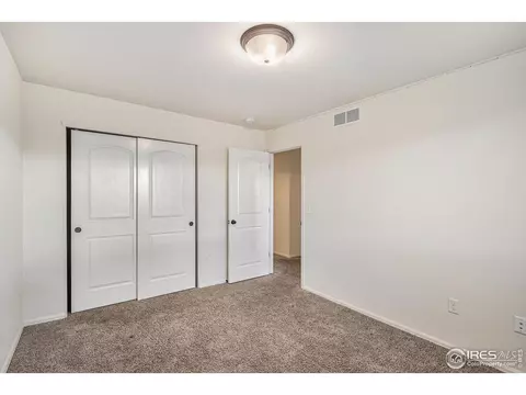 1004 Muntjac St, Severance, CO 80550 photo 17