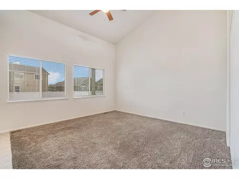 1004 Muntjac St, Severance, CO 80550 photo 13