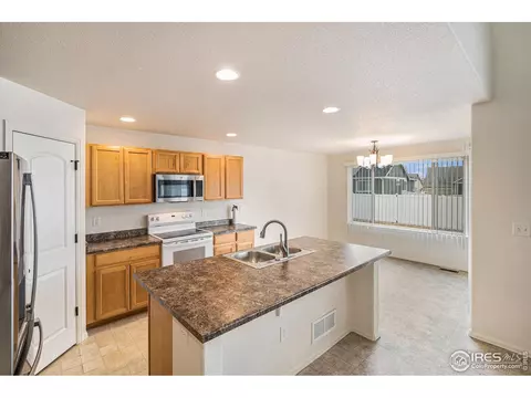 1004 Muntjac St, Severance, CO 80550 photo 8