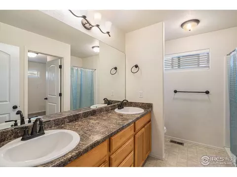 1004 Muntjac St, Severance, CO 80550 photo 23