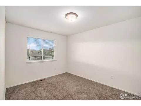 1004 Muntjac St, Severance, CO 80550 photo 16