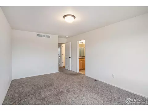 1004 Muntjac St, Severance, CO 80550 photo 21