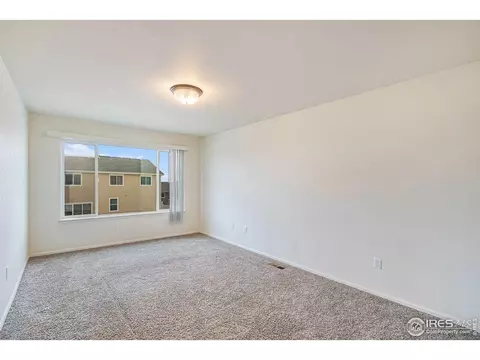 1004 Muntjac St, Severance, CO 80550 photo 18