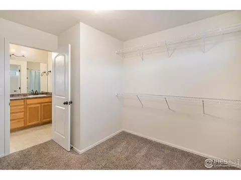 1004 Muntjac St, Severance, CO 80550 photo 22