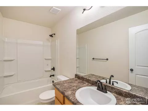 1004 Muntjac St, Severance, CO 80550 photo 24