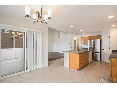 1004 Muntjac St, Severance, CO 80550 photo 10