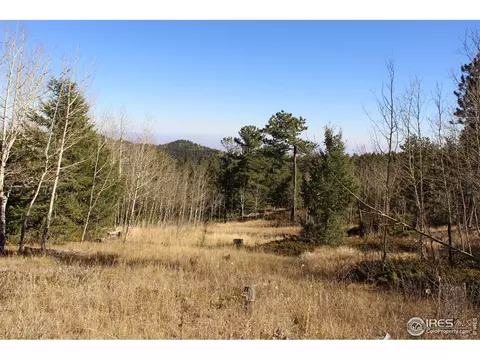 509 Forest Service, Jamestown, CO 80455