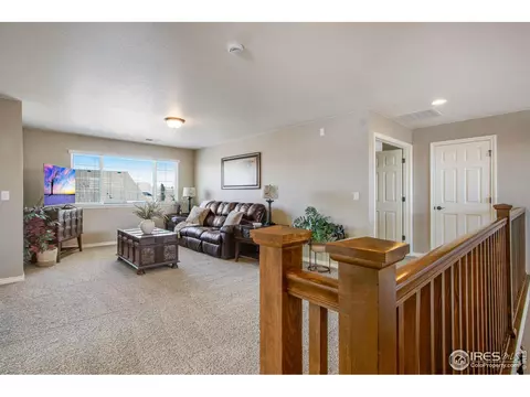 1836 E Seadrift Dr, Windsor, CO 80550 photo 21