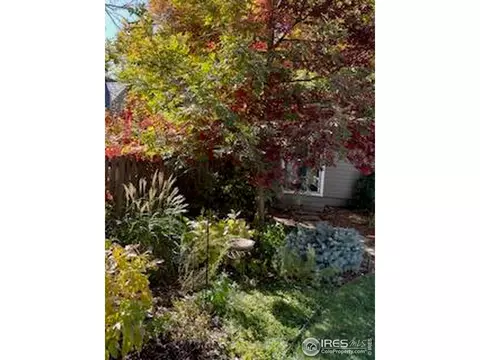 2980 Washington St, Boulder, CO 80304 photo 38