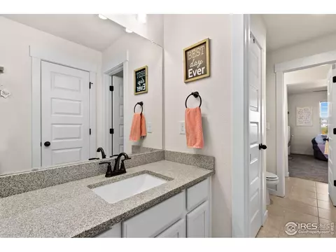 1701 Heirloom Dr, Windsor, CO 80550 photo 21