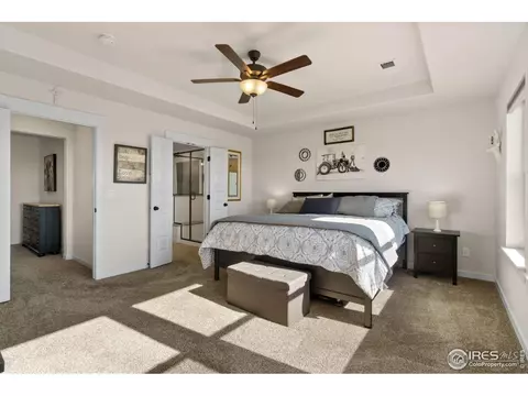 1701 Heirloom Dr, Windsor, CO 80550 photo 22