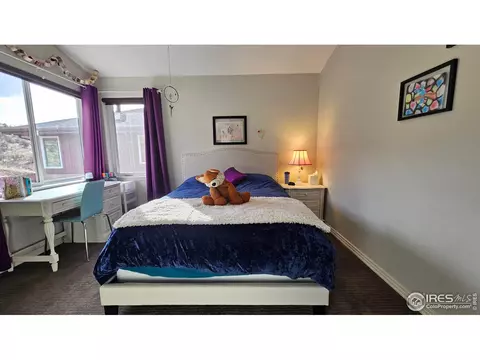 625 1st Ave, Lyons, CO 80540 photo 14