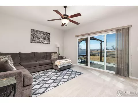 262 Pinebrook Ct, Windsor, CO 80550 photo 13