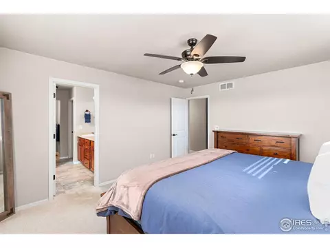 262 Pinebrook Ct, Windsor, CO 80550 photo 18