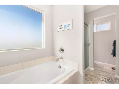 262 Pinebrook Ct, Windsor, CO 80550 photo 20