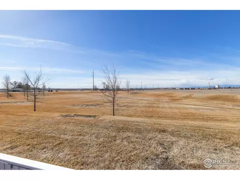 262 Pinebrook Ct, Windsor, CO 80550 photo 31
