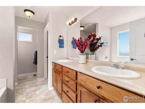 262 Pinebrook Ct, Windsor, CO 80550 photo 19