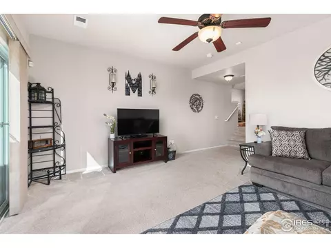 262 Pinebrook Ct, Windsor, CO 80550 photo 14