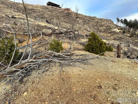 466 Gold Run Rd, Boulder, CO 80302 photo 5