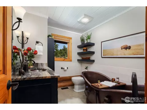 17503 Highway 7, Lyons, CO 80540 photo 24