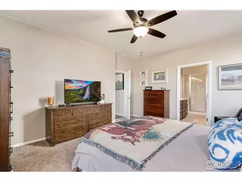 5960 Connor St, Timnath, CO 80547 photo 14