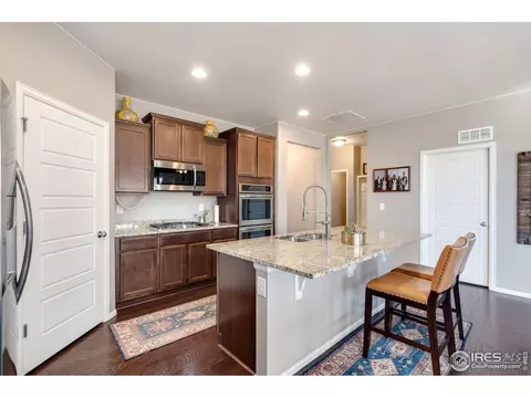 5960 Connor St, Timnath, CO 80547 photo 11
