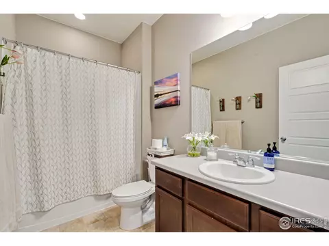 5960 Connor St, Timnath, CO 80547 photo 15