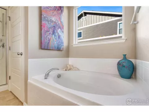 5960 Connor St, Timnath, CO 80547 photo 17