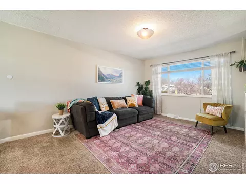 621 10th St, Windsor, CO 80550 photo 7