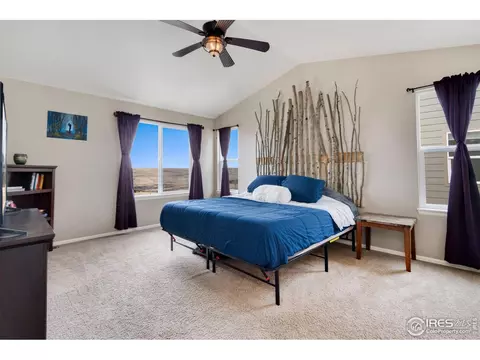 2139 Longfin Dr, Windsor, CO 80550 photo 19