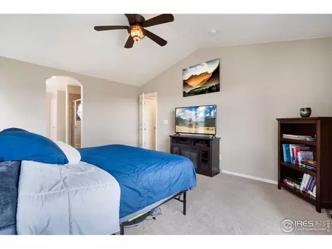 2139 Longfin Dr, Windsor, CO 80550 photo 20