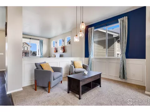 2139 Longfin Dr, Windsor, CO 80550 photo 13