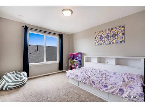 2139 Longfin Dr, Windsor, CO 80550 photo 24