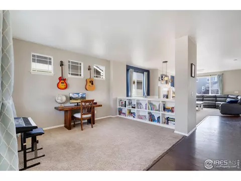 2139 Longfin Dr, Windsor, CO 80550 photo 10