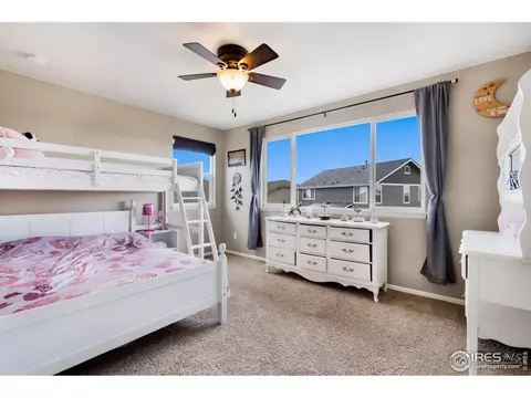 2139 Longfin Dr, Windsor, CO 80550 photo 25