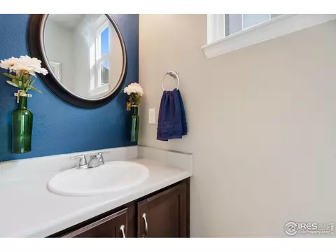 2139 Longfin Dr, Windsor, CO 80550 photo 18