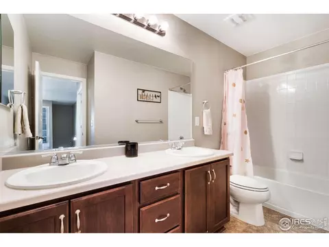 2139 Longfin Dr, Windsor, CO 80550 photo 26