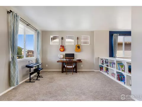 2139 Longfin Dr, Windsor, CO 80550 photo 12