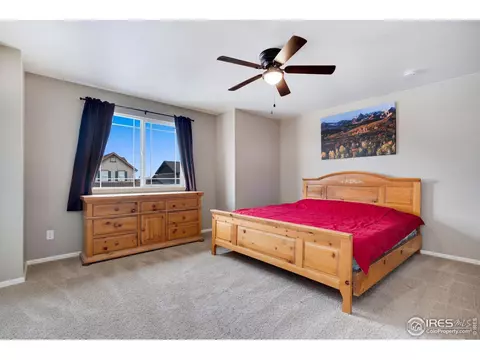 2139 Longfin Dr, Windsor, CO 80550 photo 23