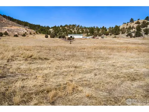 1194 Eiger Rd, Livermore, CO 80536 photo 6
