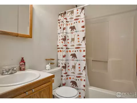 517 Woods Ave, Ault, CO 80610 photo 18