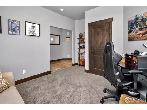 6006 Chantry Dr, Windsor, CO 80550 photo 24