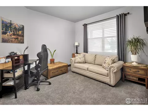 6006 Chantry Dr, Windsor, CO 80550 photo 23